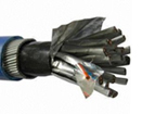 Individual Screen Armoured Instrument Cable